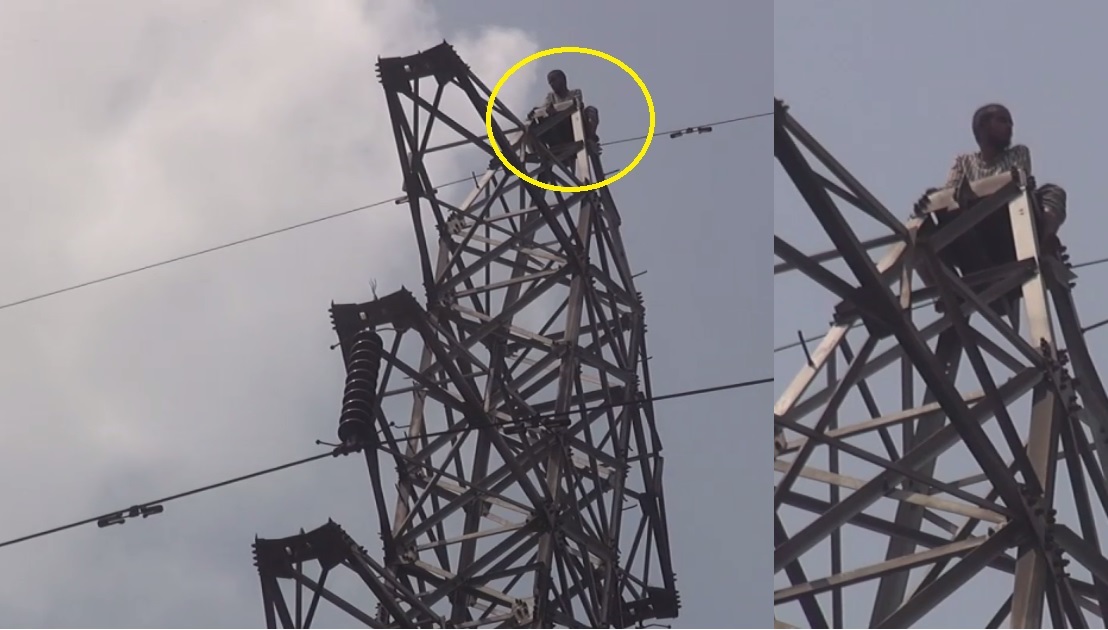 ১২০ ফুট উঁচু বিদ্যুৎ টাওয়ারের চুড়ায় যুবক, নামানোর চেষ্টা ফায়ার সার্ভিসের