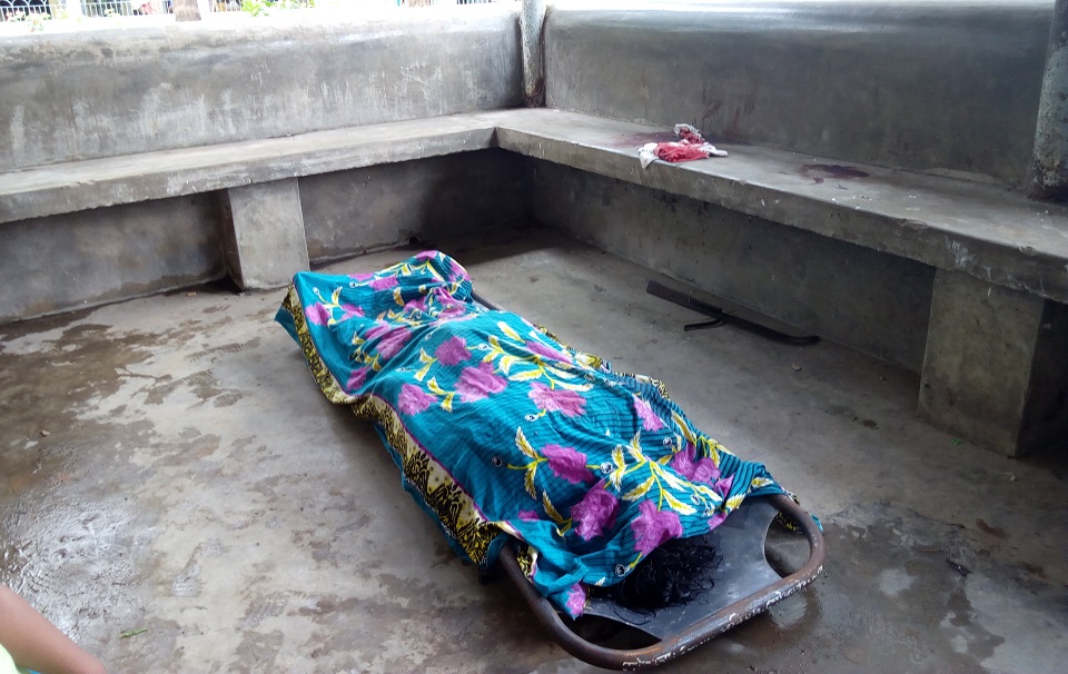 শাশুড়িকে কুপিয়ে হত্যা করলো মেয়ে জামাই