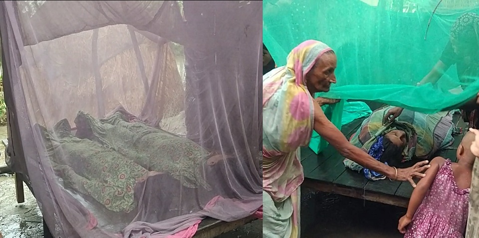 নতুন ঘর দেখতে গিয়ে বজ্রপাতে মা-ছেলেসহ ৩ জনের মৃত্যু