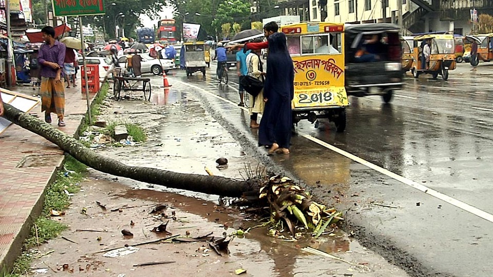 ফুটপাতে হাঁটার সময় গাছ চাপায় কলেজ ছাত্রের মৃত্যু