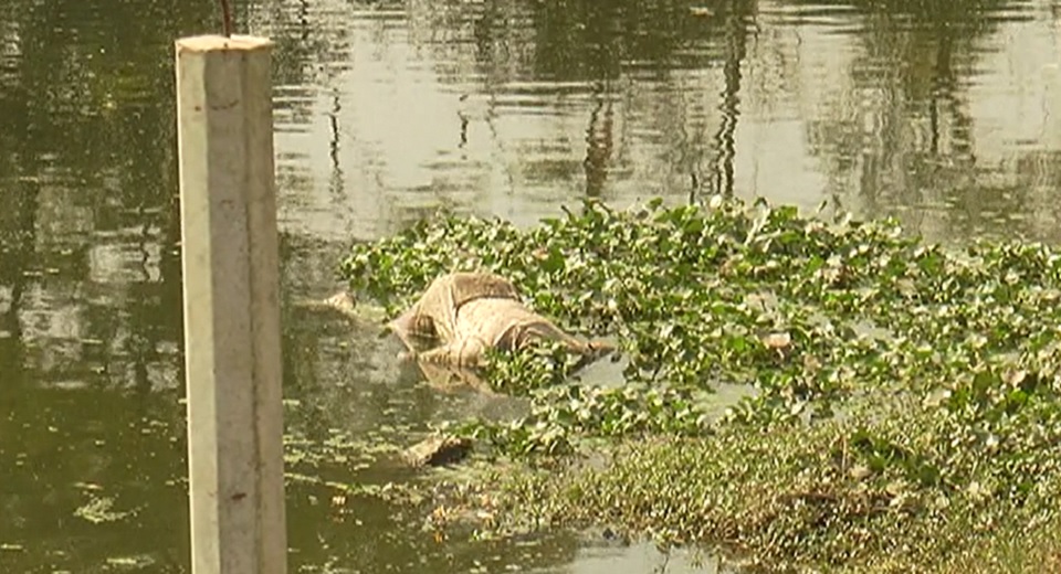 দেশের বিভিন্ন স্থানে শিক্ষকসহ ৫ জনের লাশ উদ্ধার