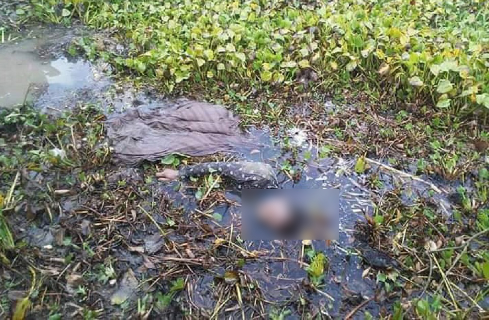 যাত্রী সেজে চালককে হত্যা করে সিএনজি ছিনতাই