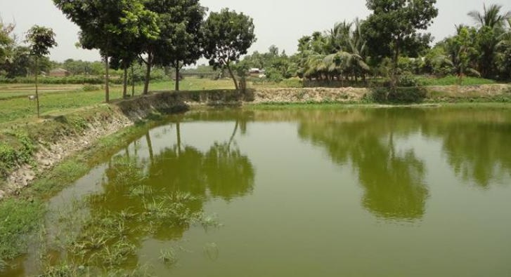 ‘গোপন দরপত্রে’ ১১০টি খাস পুকুর লিজ, প্রশাসনের বিরুদ্ধে কমিশন বানিজ্যের অভিযোগ