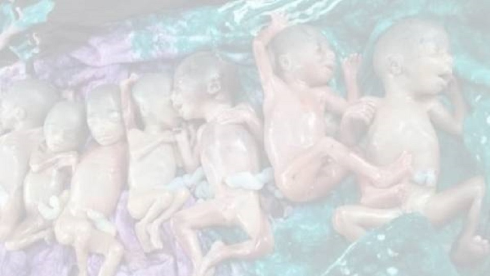 লক্ষ্মীপুরে একসঙ্গে জন্ম নেয়া সাত নবজাতকই মারা গেছে