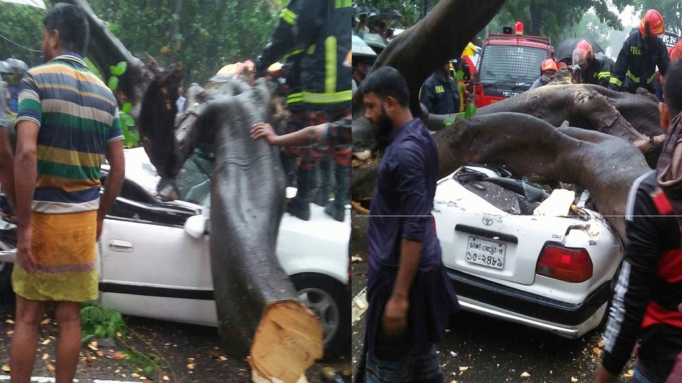 ঘূর্ণিঝড়ে গাছ পড়ে দুমড়েমুচড়ে গেছে প্রাইভেটকার: আহত ৪