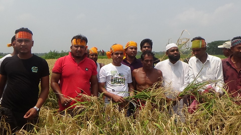 সাতক্ষীরায় ধান কেটে দিলো অর্ধশত ছাত্রলীগ নেতাকর্মী