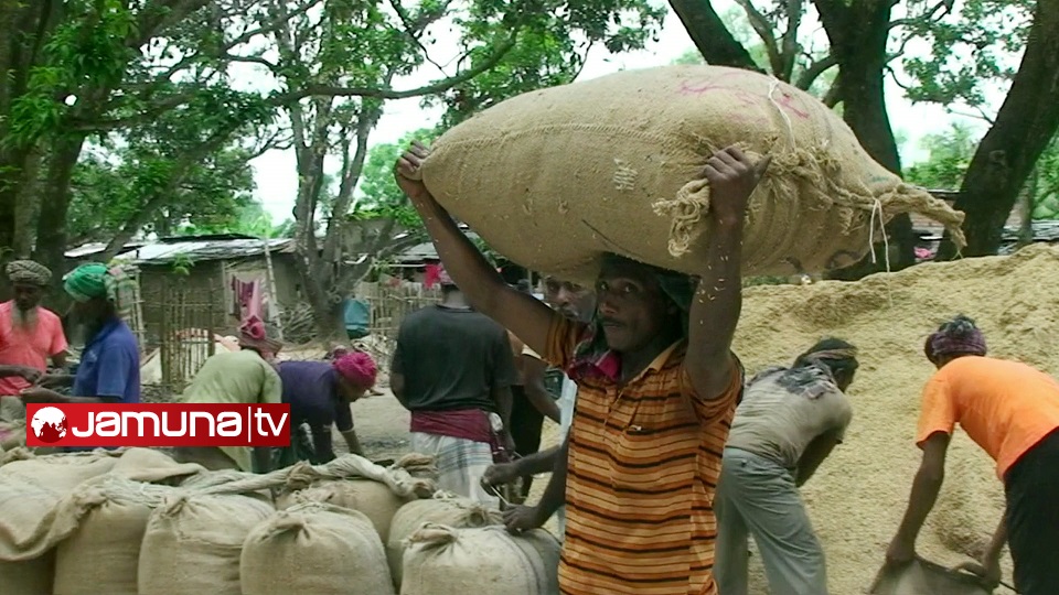 লাগামহীন চাল আমদানীতেই কৃষকের সর্বনাশ