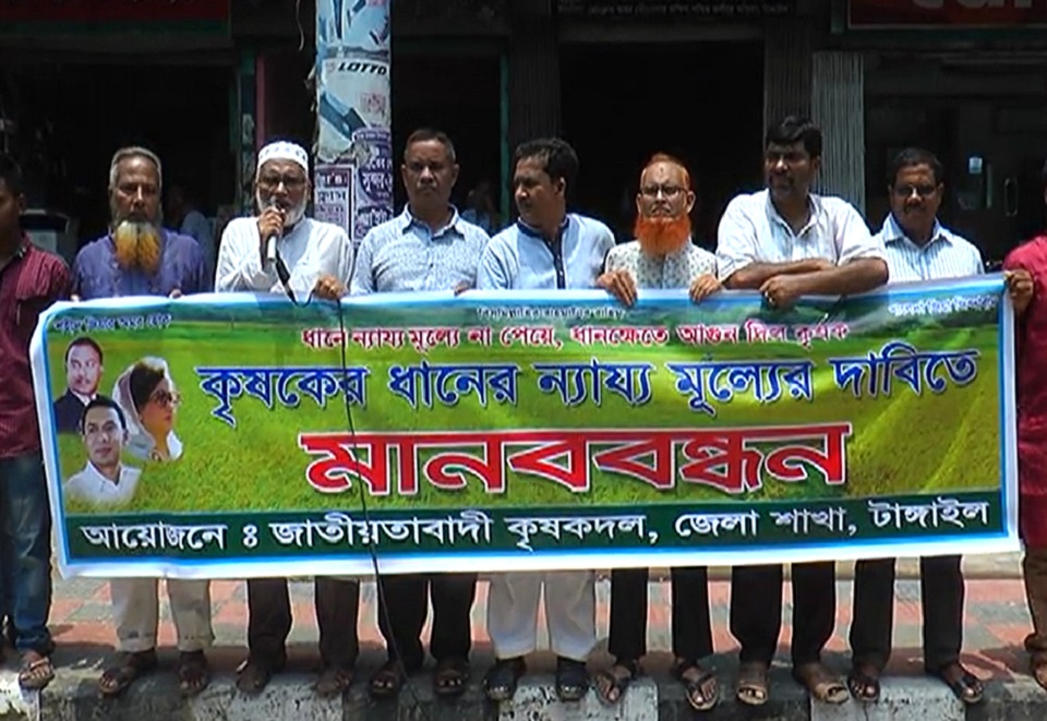 টাঙ্গাইলে ধানের ন্যায্য মূল্যের দাবিতে কৃষক দলের মানববন্ধন