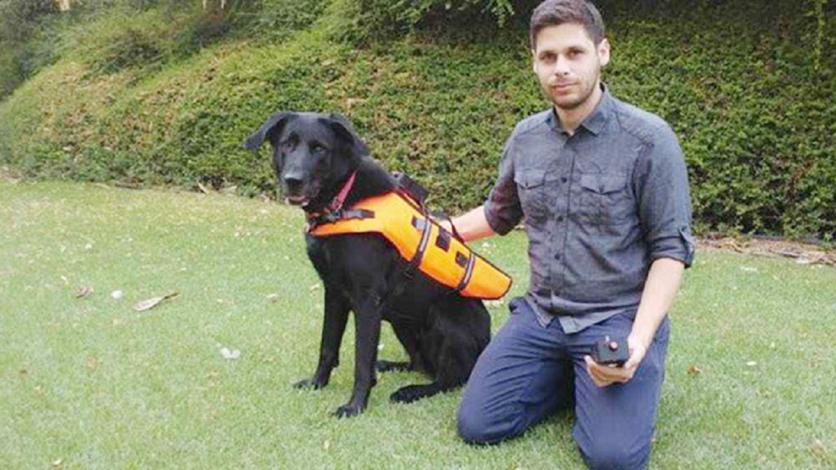 কুকুর নিয়ন্ত্রণ করা যাবে রিমোটে