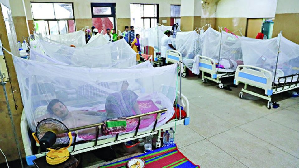 ‘মশা মারতে না পারেন ভালো কথা, আল্লাহর ওয়াস্তে মুখটা বন্ধ করেন’