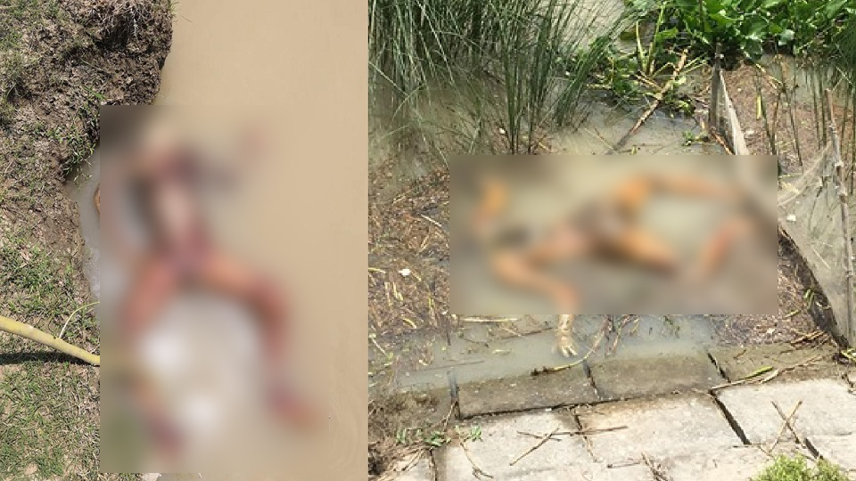 ঈশ্বরদীর পদ্মা নদী থেকে অজ্ঞাত দুই লাশ উদ্ধার