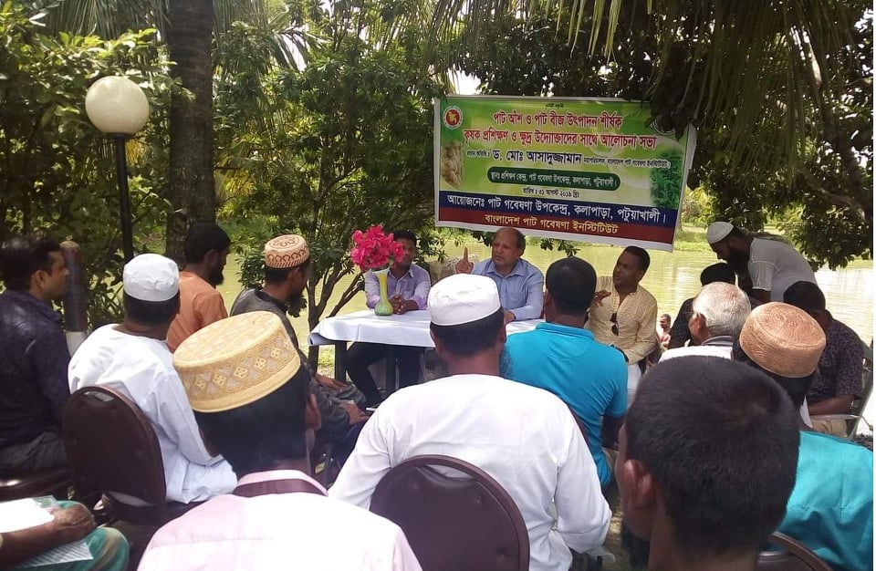 দক্ষিণাঞ্চলে চাষের জন্য নতুন জাতের পাট উদ্ভাবন