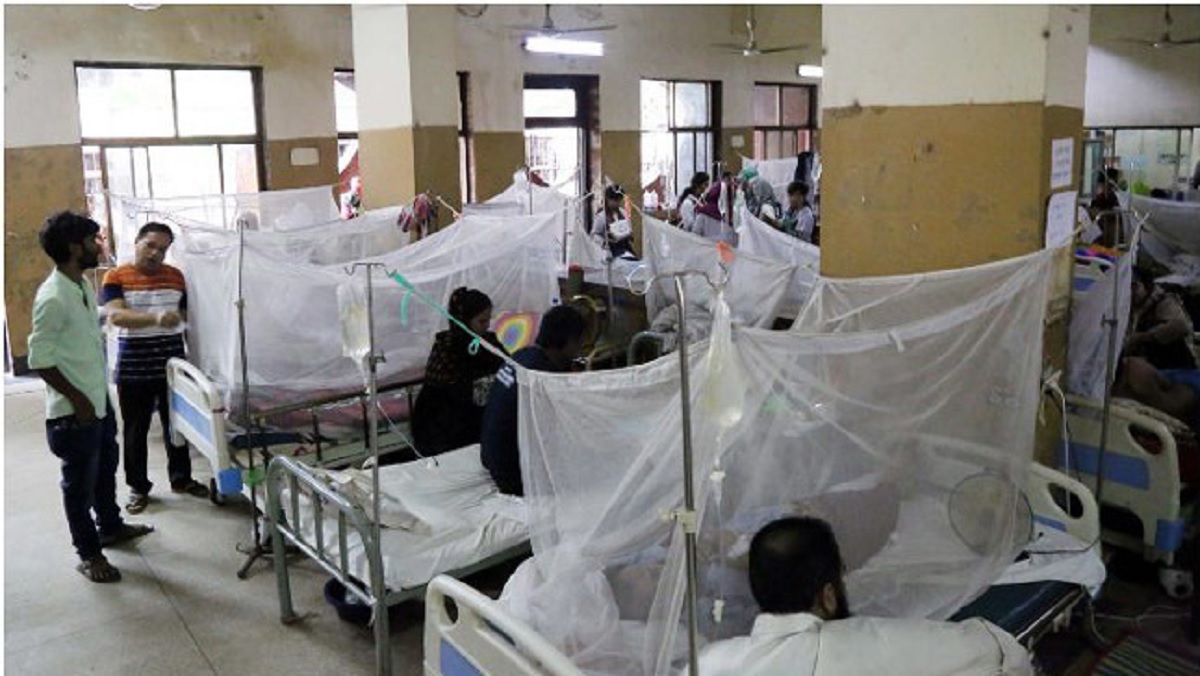 চলতি মাসে ৫০ হাজারের বেশি ডেঙ্গু রোগী হাসপাতালে ভর্তি