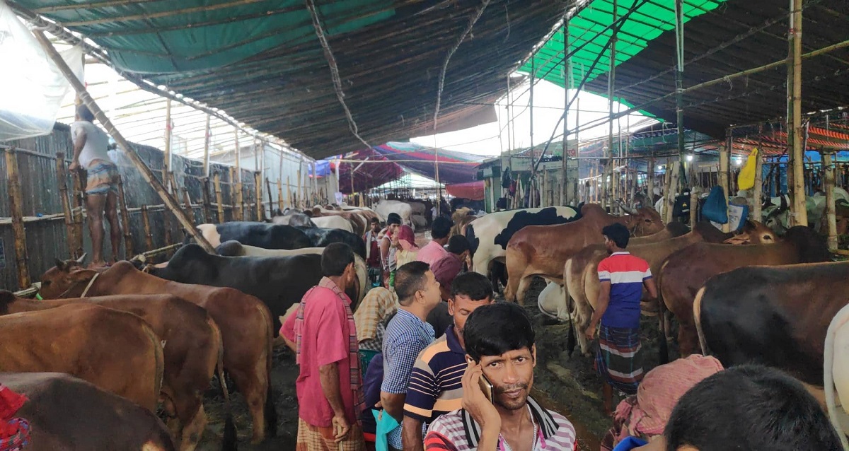 বৃষ্টিতে ক্রেতা শূন্য হাট