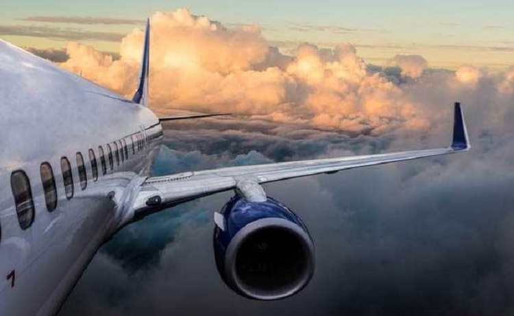 আমাজনে বিমান বিধ্বস্ত হয়ে মারা গেলেন সব আরোহী