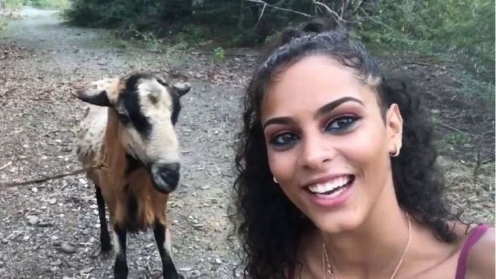 ছাগলের সঙ্গে সেলফি তুলতে গিয়ে…
