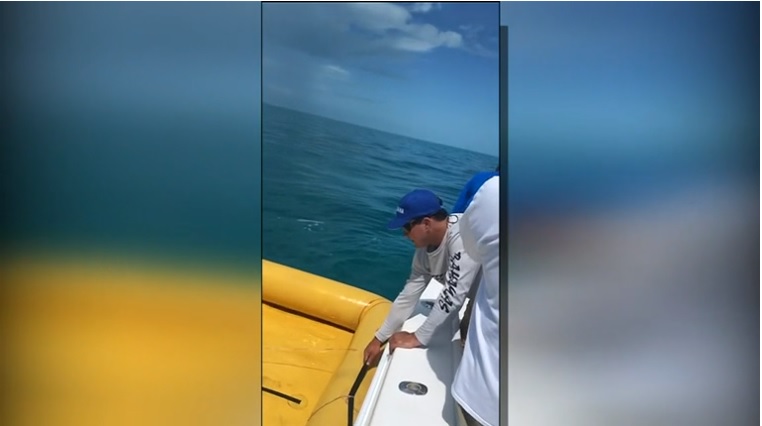 সমুদ্রে ভাসমান নৌকা জীবন বাঁচালো বিমানযাত্রীদের