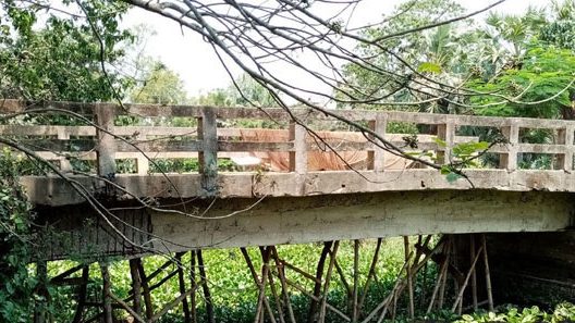 নড়াইলে সেঁতু রক্ষায় বাঁশ!