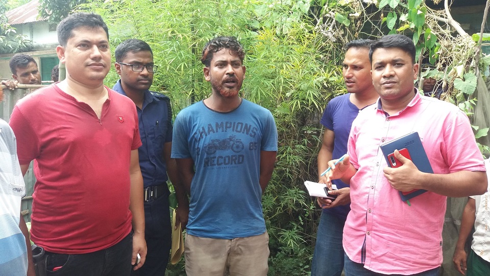 বাড়ির আঙ্গিনায় গাঁজা চাষ, গাছসহ গ্রেপ্তার ১