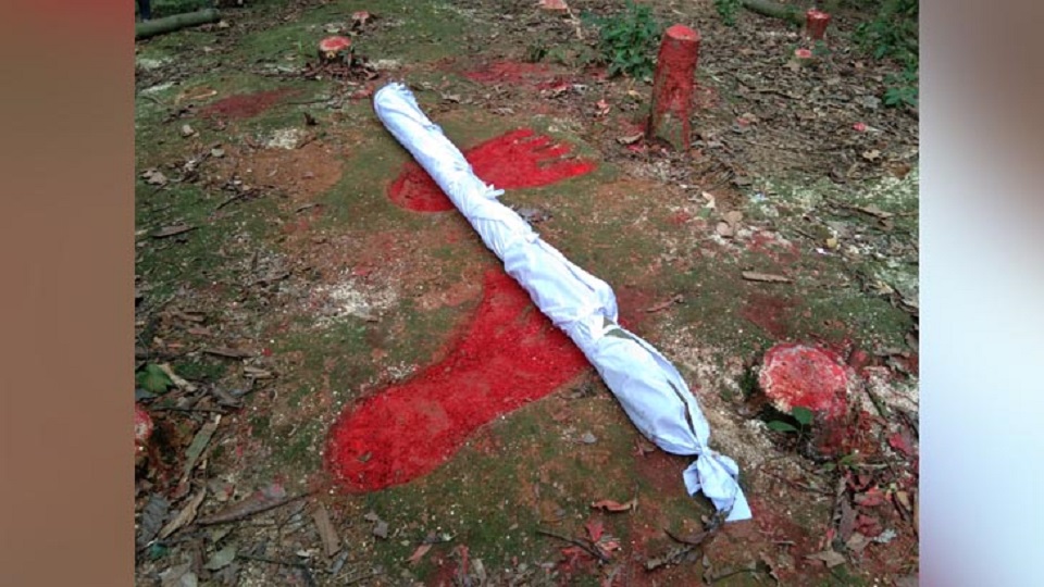 কাটা গাছে কাফন পরিয়ে জাবিতে বিক্ষোভ