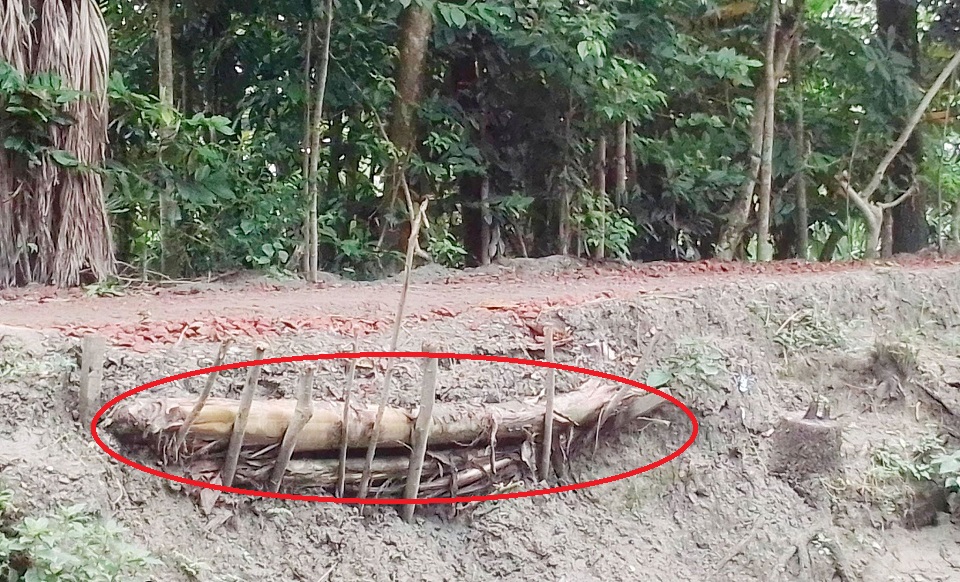 এবার কলাগাছ দিয়ে রাস্তার গাইড ওয়াল নির্মাণ!