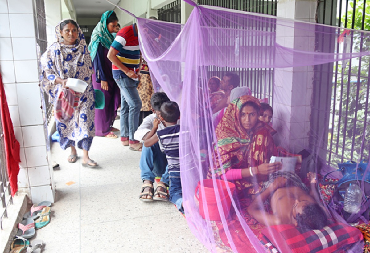 যশোরে এক গ্রামেই ডেঙ্গু আক্রান্ত শতাধিক মানুষ