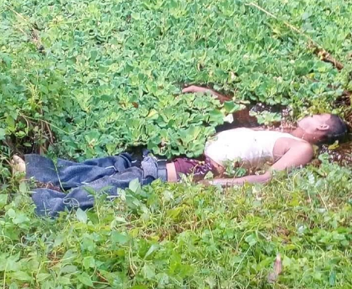 সোনাইমুড়ীতে অজ্ঞাত ব্যক্তির মরদেহ উদ্ধার