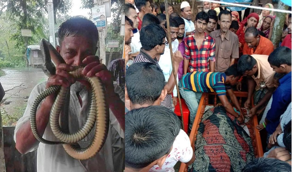 পটুয়াখালী পালিত সাপের কামড়ে এক সাপুড়ের মৃত্যু