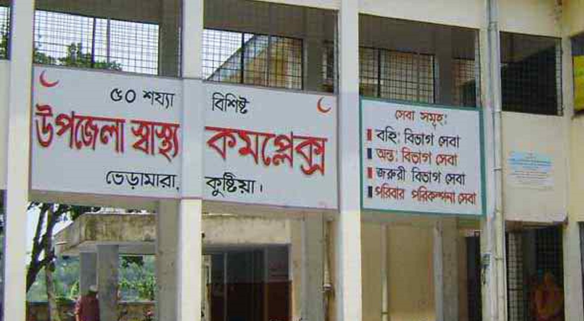 ভেড়ামারায় ডেঙ্গুতে নারীর মৃত্যু