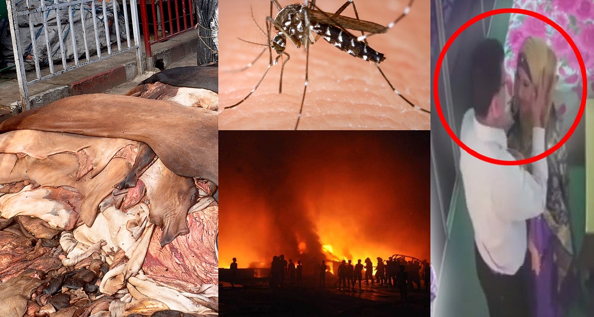 ‘হাড় খাবো, মাংস খাবো, চামড়া দিয়ে ডুগডুগি বাজাবো’