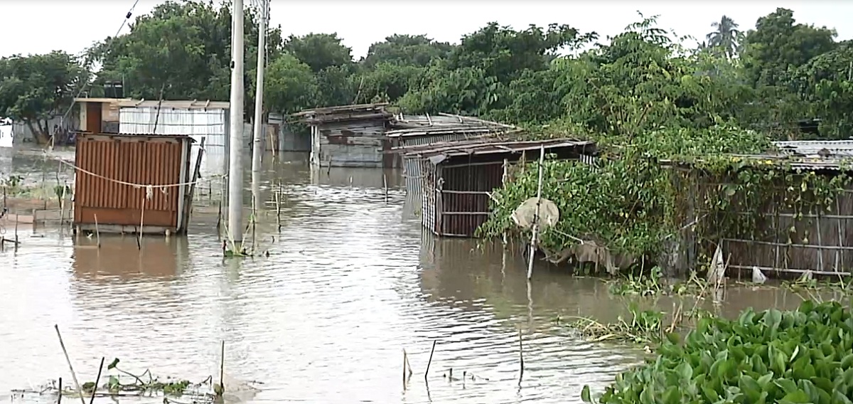 পদ্মায় বাড়ছে পানি