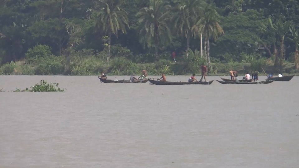 বিষখালী নদীতে ‘মা’ ইলিশ নিধনে বেপরোয়া জেলেরা