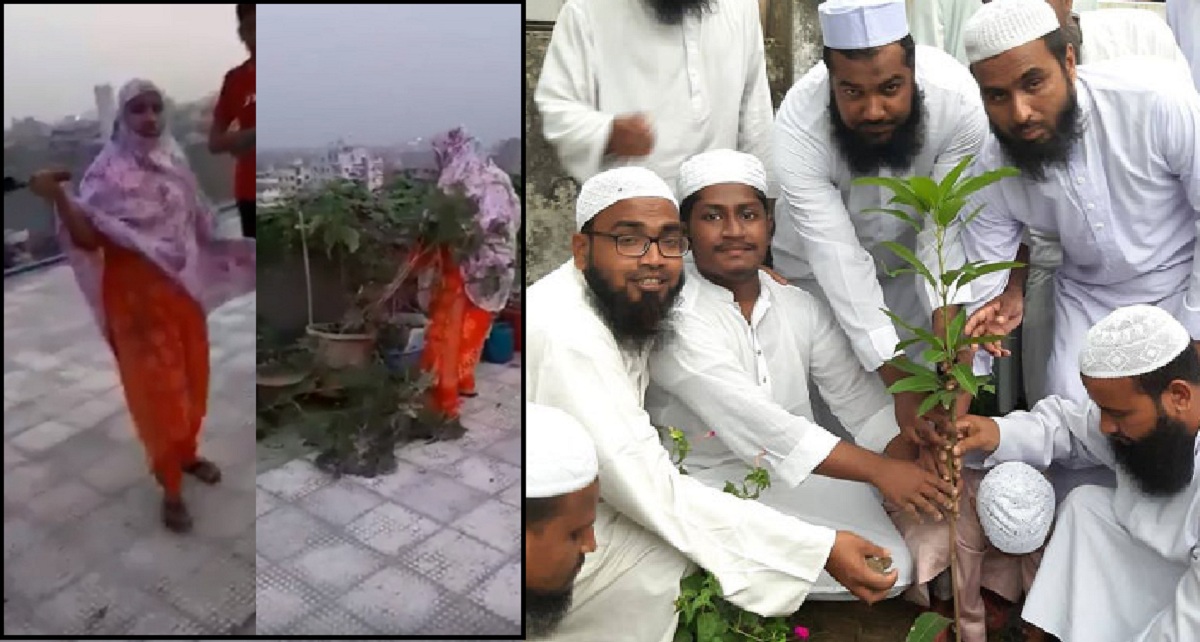 ছাদের গাছ কাটার ব্যতিক্রমী প্রতিবাদ আলেমদের