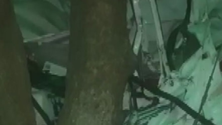 গরু বাঁচাতে গিয়ে প্রাণ গেল ১২ যাত্রীর