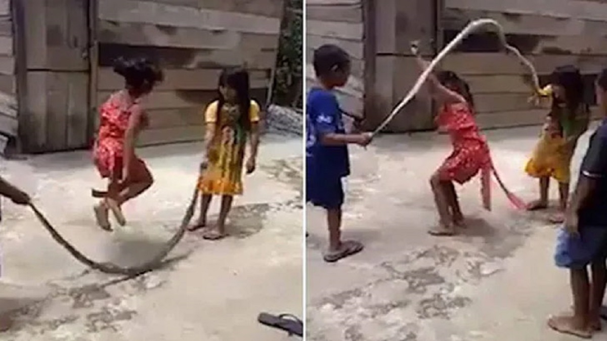 সাপ দিয়ে দড়ি লাফ খেলছে শিশুরা, ভিডিও ভাইরাল