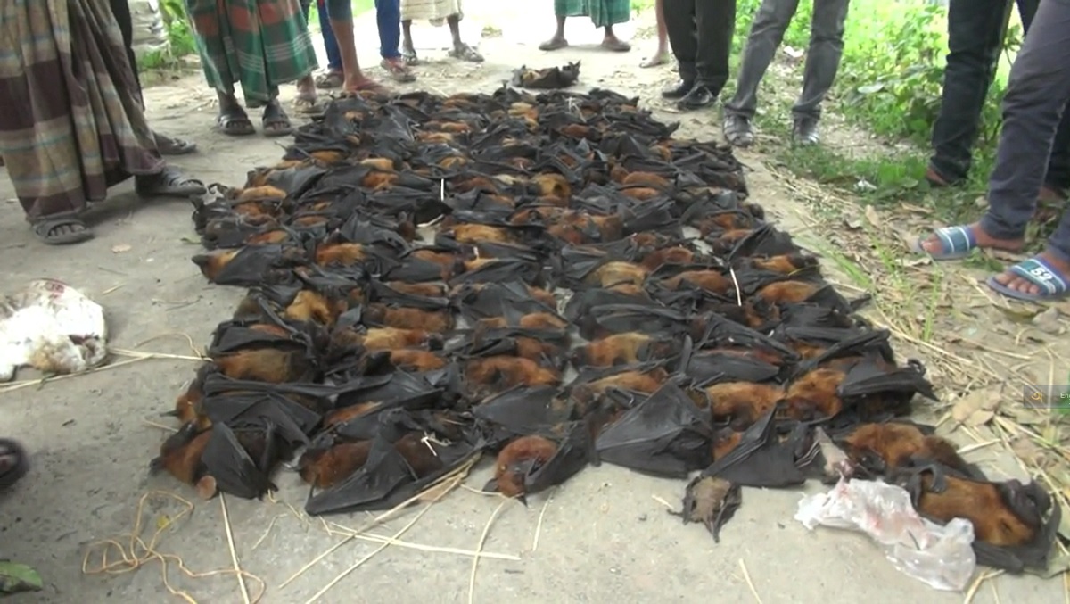 এ কেমন নৃশংসতা!