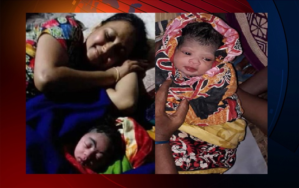 বুলবুলের রাতে ফুটলো দুই বুলবুলি