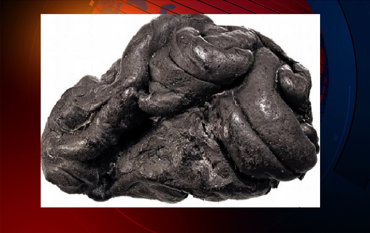 ৫ হাজার বছর আগেও ছিল চুইংগাম!