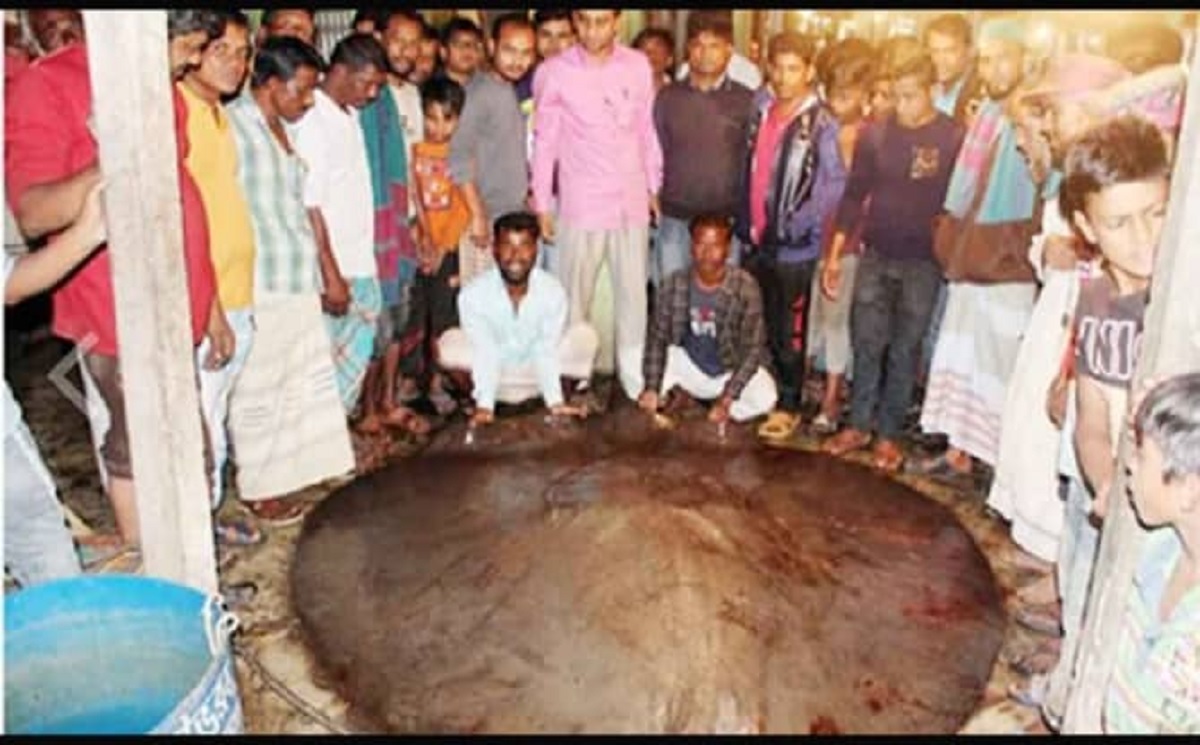 মেঘনা নদীতে ধরা পড়ল ৮ মণ ওজনের পানপাতা মাছ