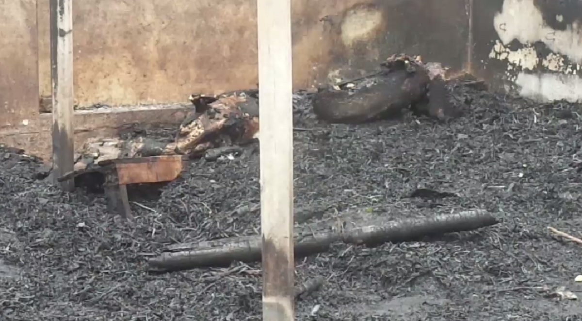 খামারে আগুন লেগে পুড়ে মারা গেলে ৬৫ ছাগল