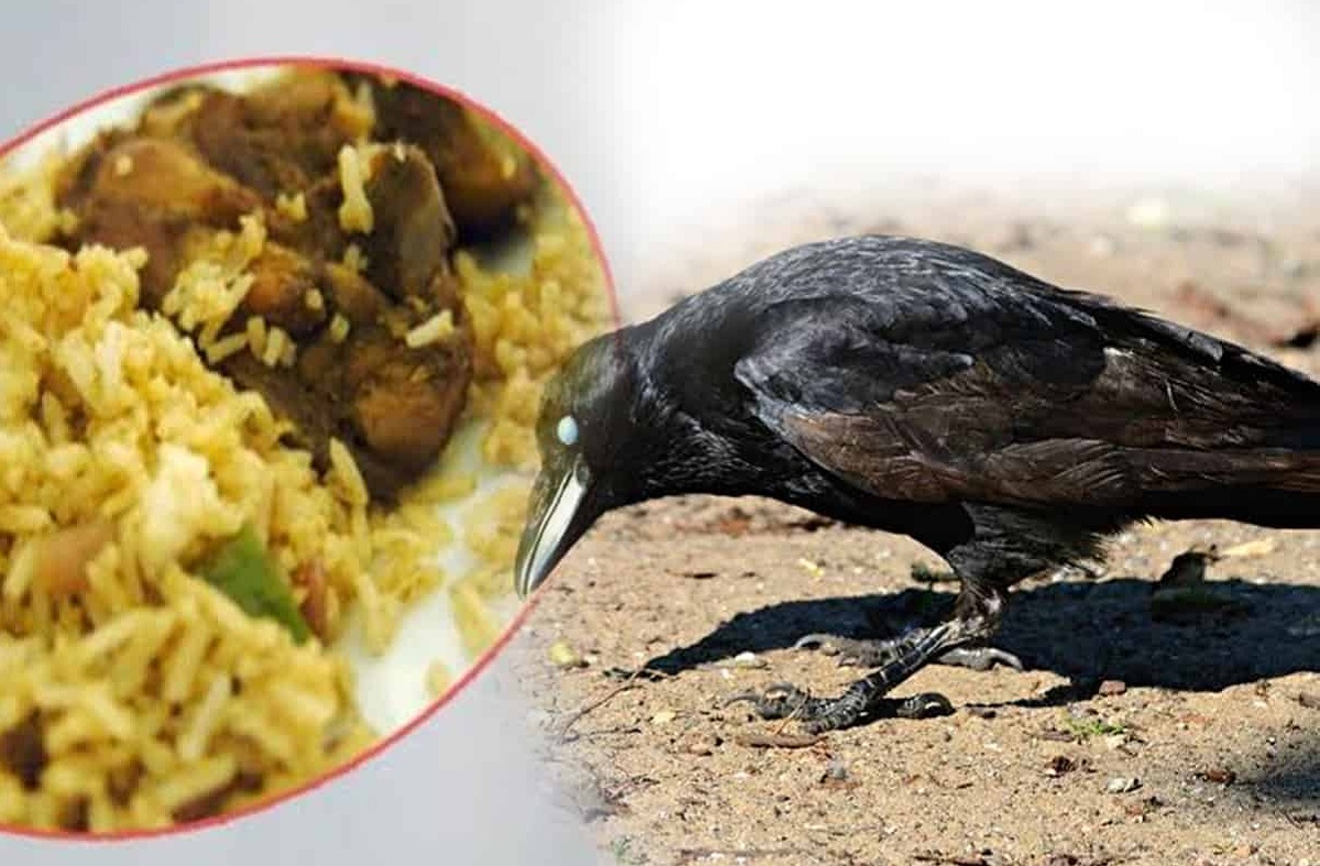 কাকের মাংসের বিরিয়ানি! ২ বিক্রেতা আটক