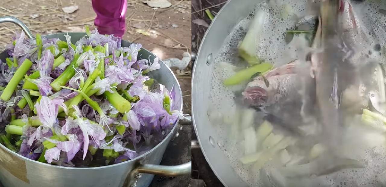 কম্বোডিয়ায় জনপ্রিয় শোল মাছ দিয়ে কচুরিপানা