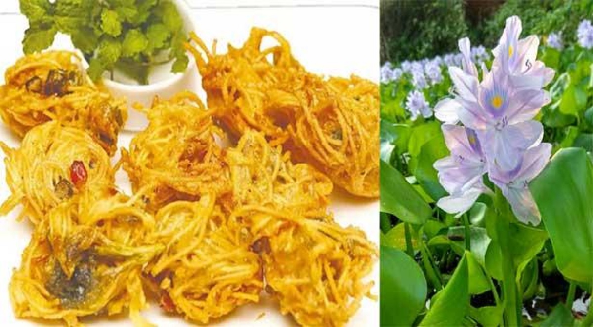 যেভাবে বানাবেন কচুরিপানা ফুলের পাকোড়া