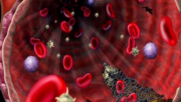 আরোগ্য ব্যক্তির রক্তরস দিয়েই হবে করোনা চিকিৎসা