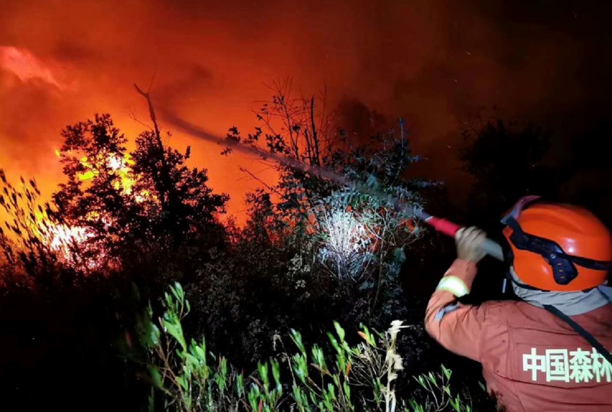করোনার মধ্যেই চীনে দাবানল, ১৮ ফায়ারসার্ভিস কর্মী নিহত