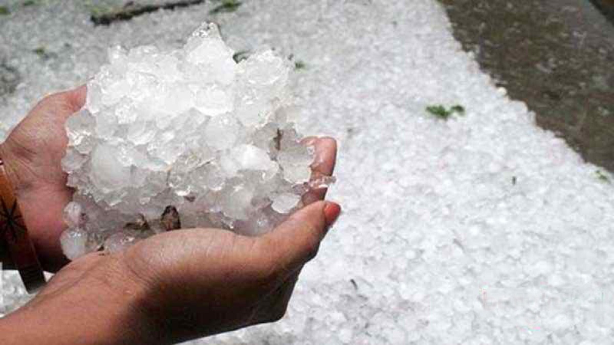 শ্রীপুরে শিলা বৃষ্টি ব্যাপক ক্ষয়ক্ষতি