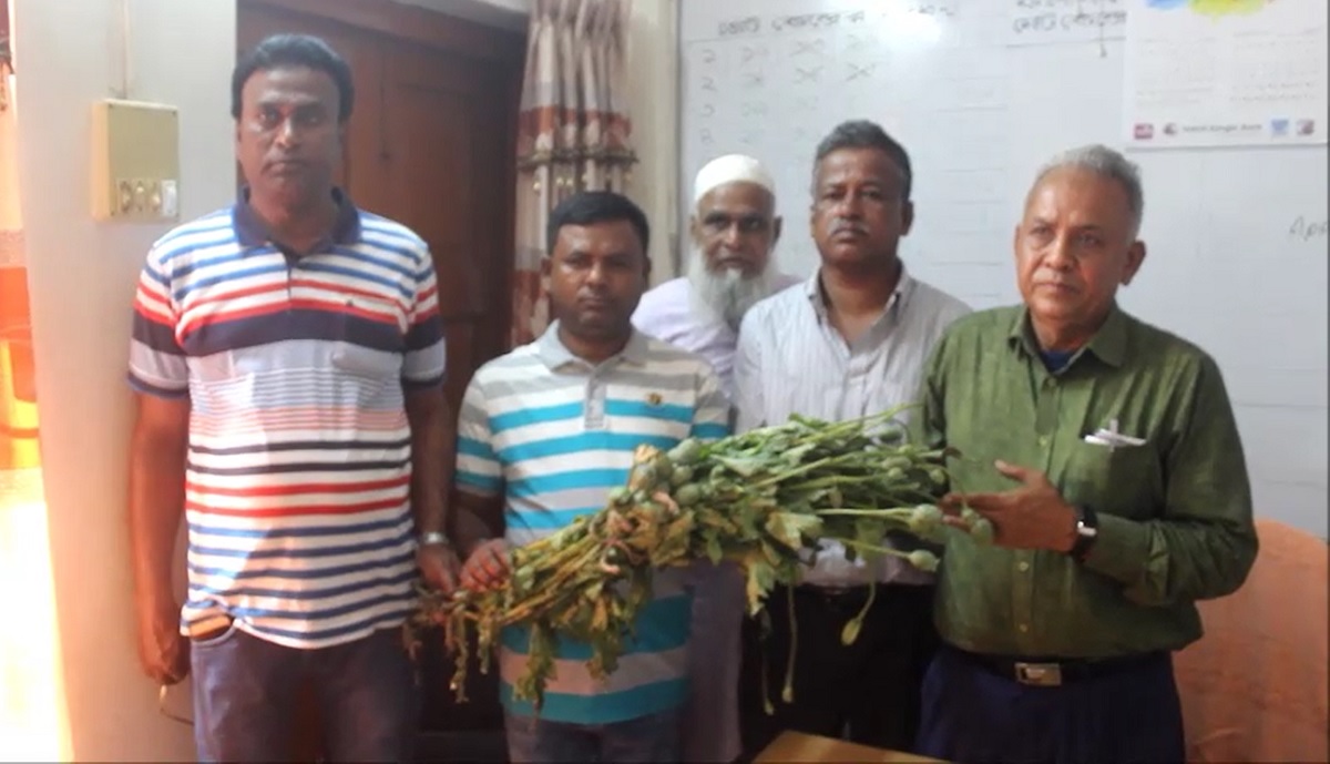 মুন্সীগঞ্জে বিস্তীর্ন এলাকা জুড়ে পপি চাষ!