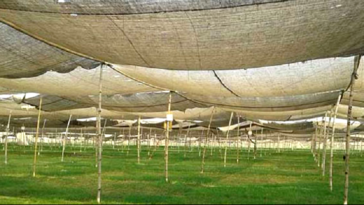 ইজতেমা মাঠে হবে না কোয়ারেন্টাইন সেন্টার