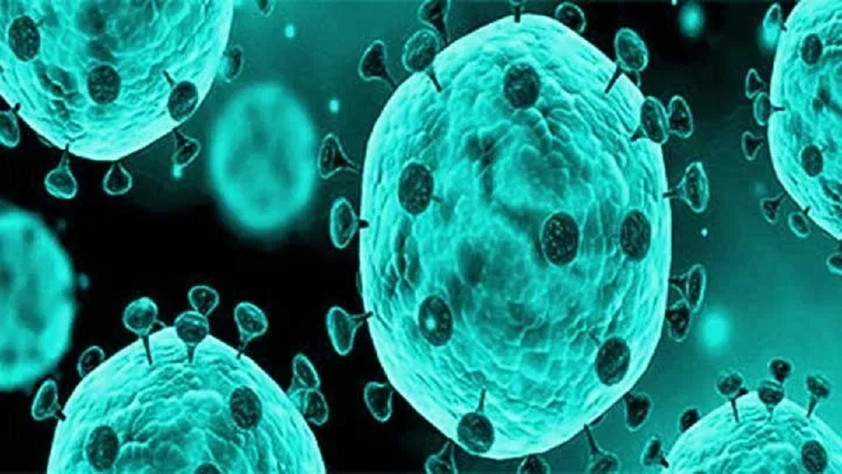 করোনা মোকাবিলায় বরাদ্দ ৫০ কোটি টাকা