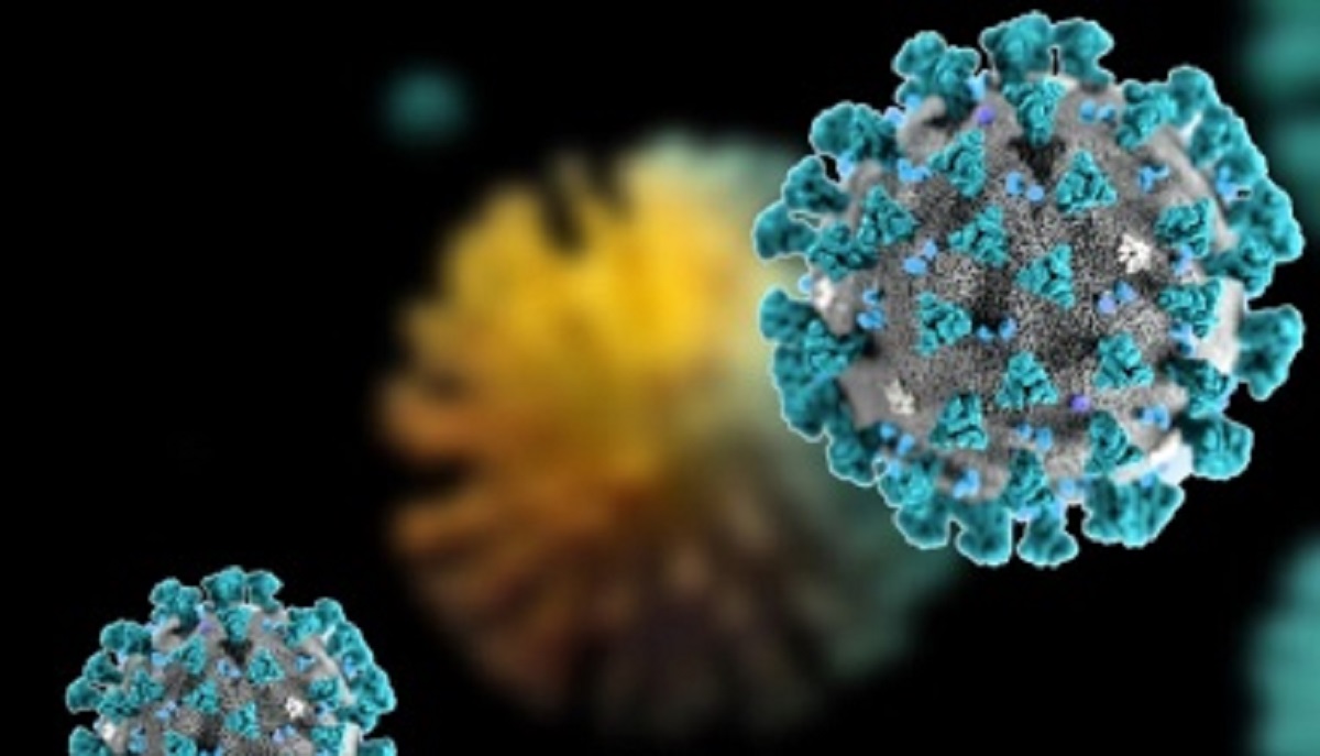 গত ২৪ ঘণ্টায় সুস্থ হয়েছে ৯ জন; মোট সুস্থ ১২২